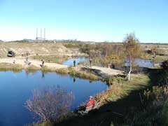 Ny-Thorup-Fiskepark240