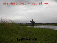 Standard-A1