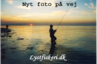 Standard-foto-plads322