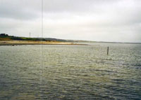 livbjergg_rd