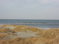 r_nnerne
